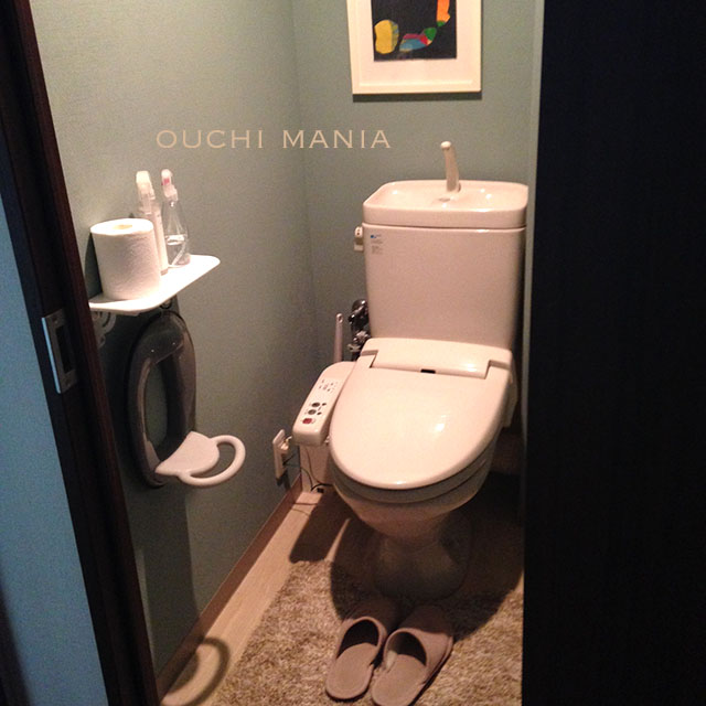 toilet17.jpg