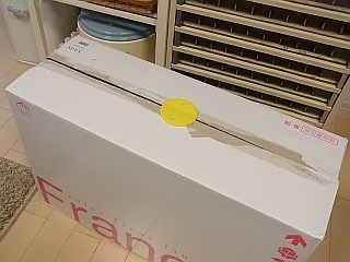 ゆみとままのおうち日記