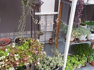 ゆみとままのおうち日記