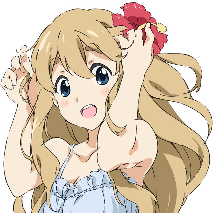 ムギちゃんとかプリキュア41話とか 黄金時代のtourism