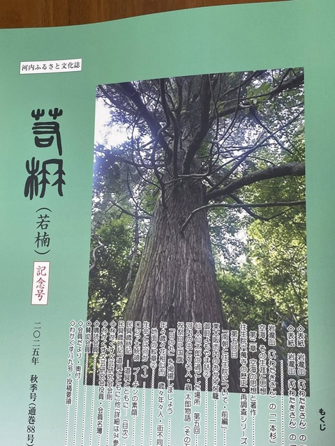 558793236_24580594781595933_1240889600729209771_n