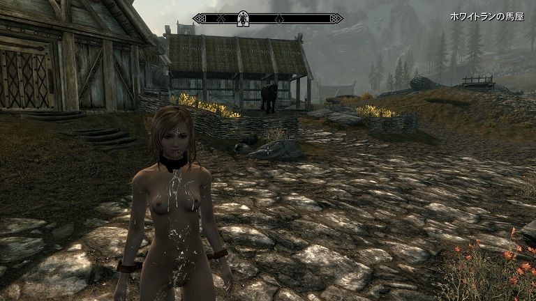 スカイリム 最近入れてみたmod紹介 飽き性個人的ゲーム感想