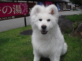CIMG0407