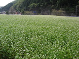 CIMG0401