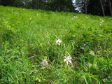 CIMG0398