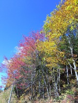 IMG_0180