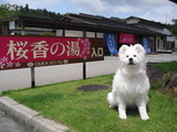 CIMG0405