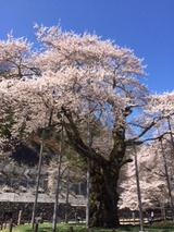 IMG_1266 (2)