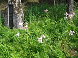 CIMG0400