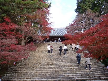 神護寺　メイン