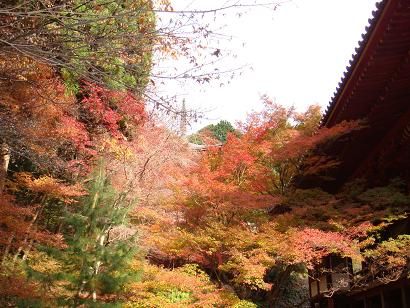 神護寺　紅葉2