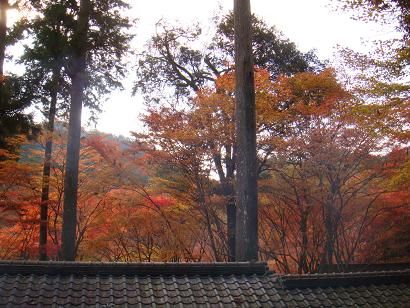 神護寺登り途中