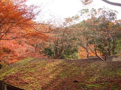 神護寺登り途中2