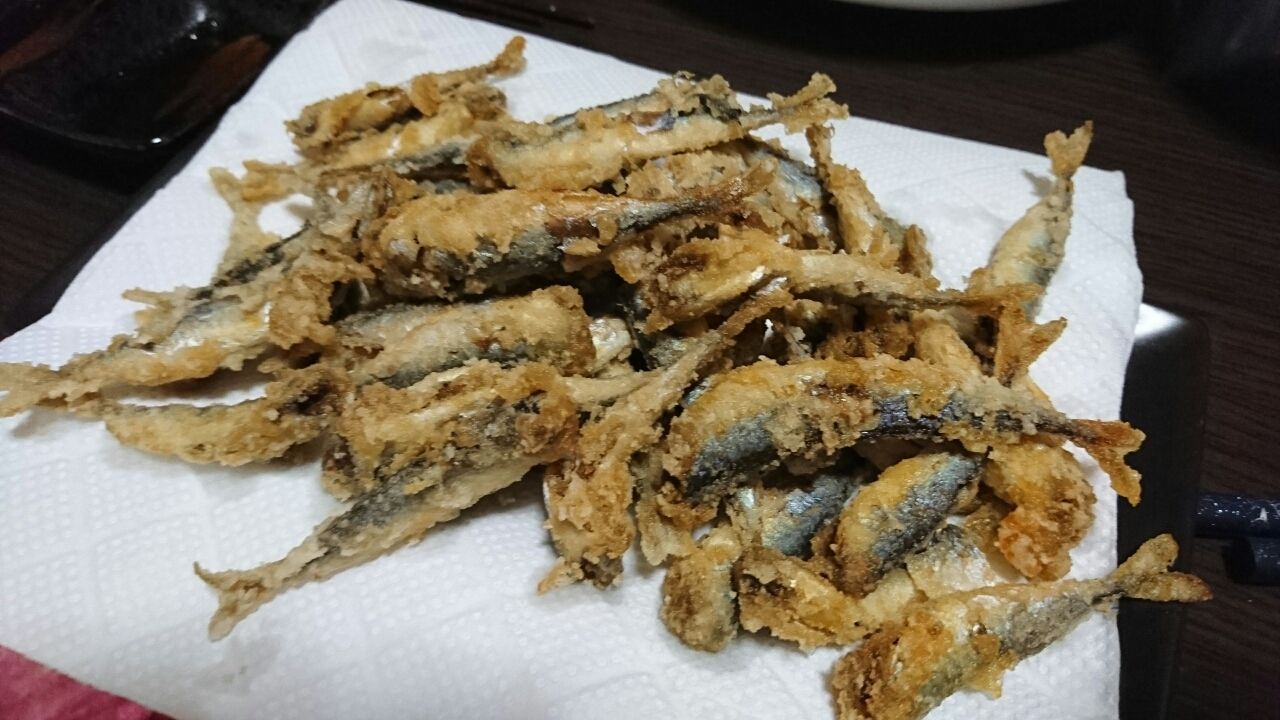 鹿島港 小鯖釣り 茨城に潜むガンキン釣行記