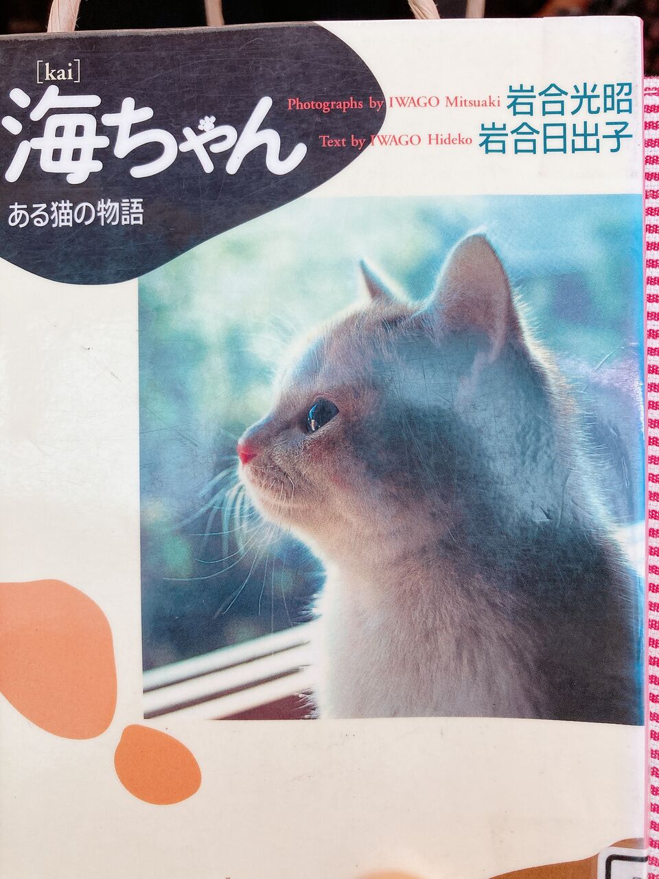 猫の本 青梅ニャンだふる Life