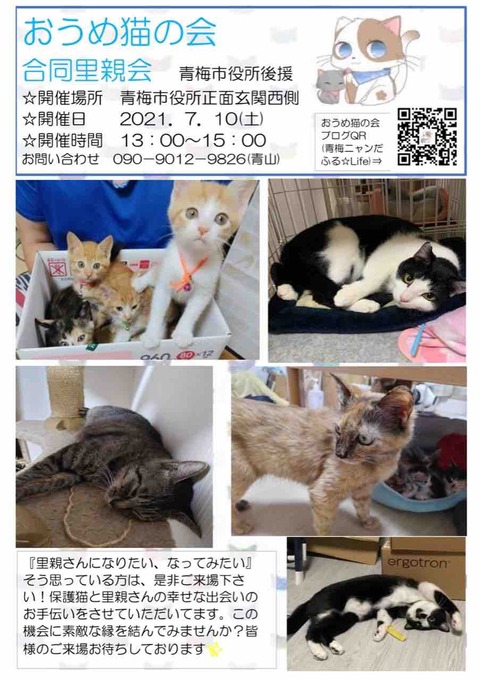 明日は合同里親会 青梅ニャンだふる Life