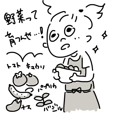感想