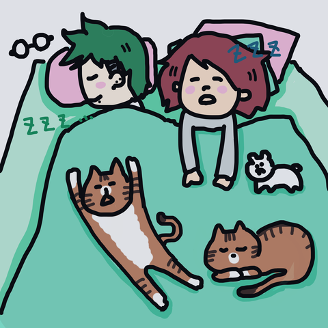 毎日こんな感じ
