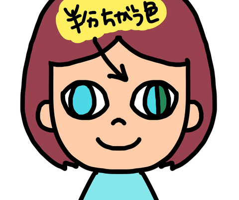 目の半分2