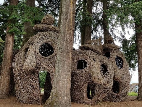 Orenco-Woods-2-800x600