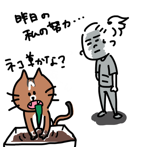 畑3
