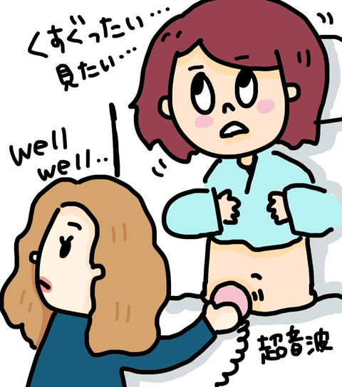 胆石2