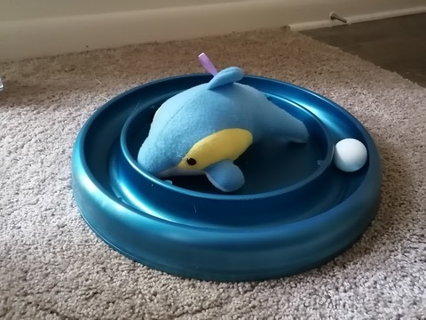 ゴミ