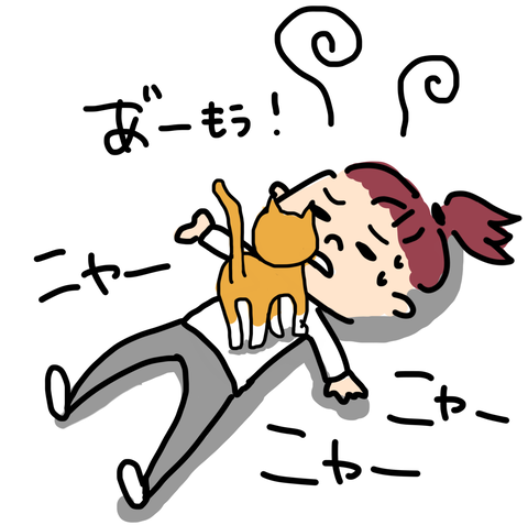 猫が増えました
