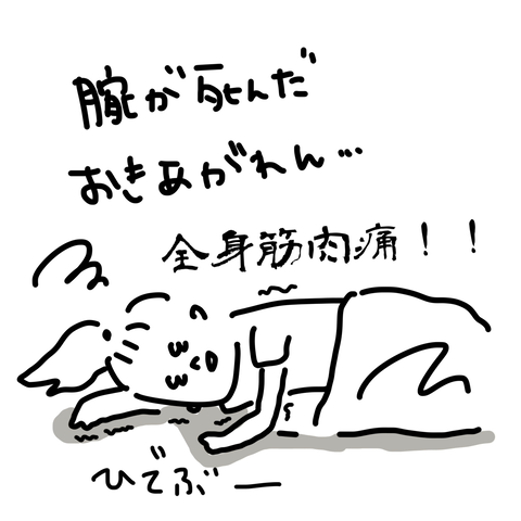 目が回る1