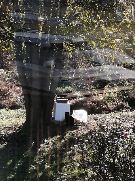 IMG_20221123_093040