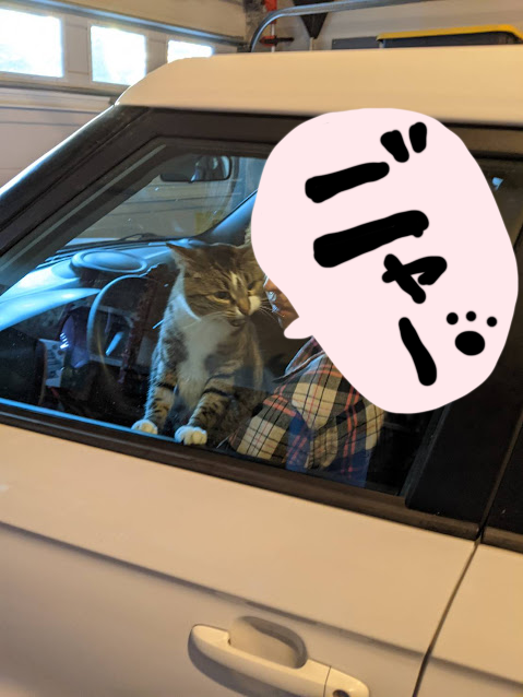 カンザス5