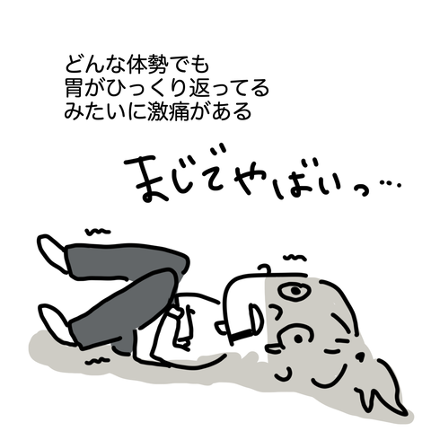 サルモネラ