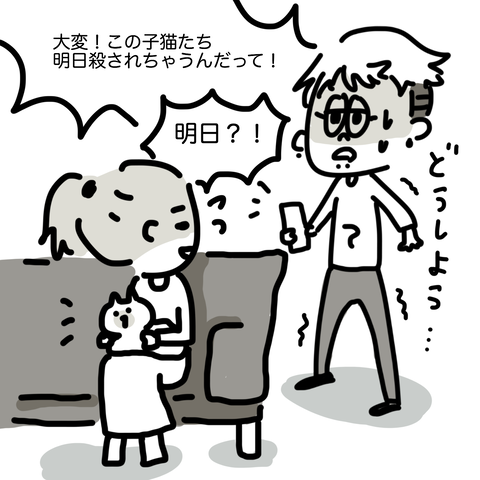 シェルター