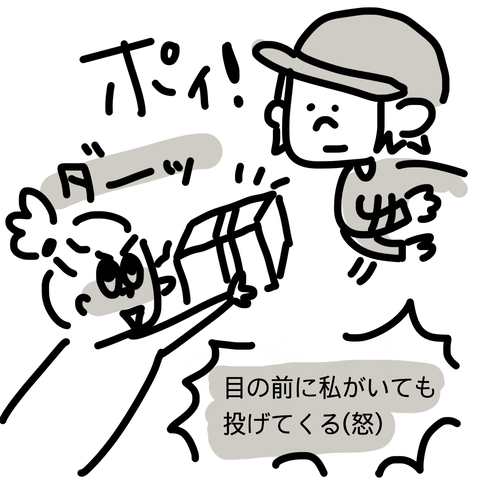 荷物投げんな
