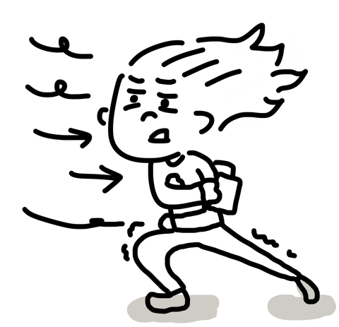 風