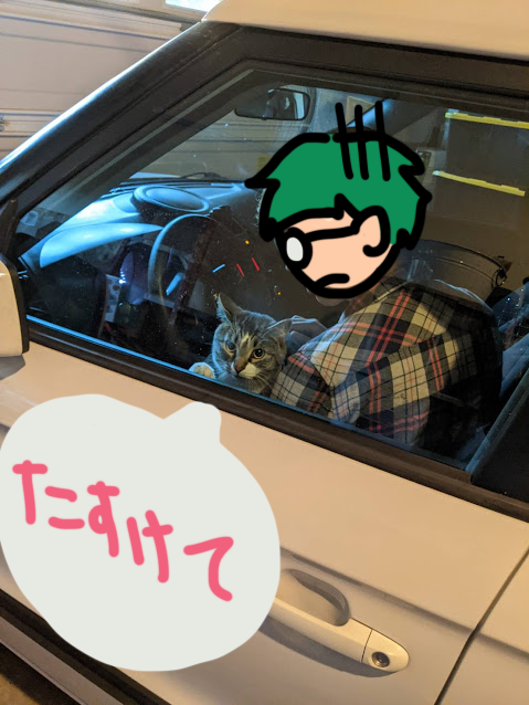 カンザス4