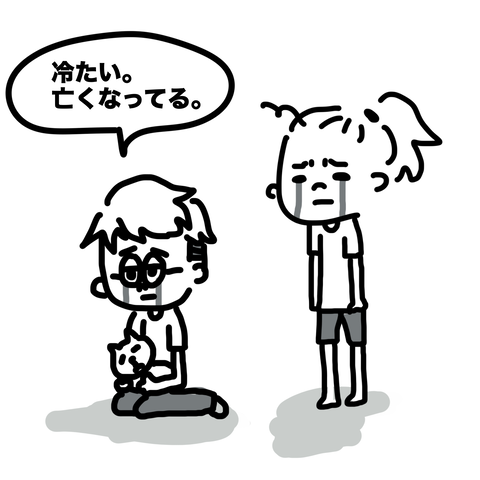 猫が死んだ日