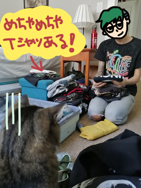 Tシャツありすぎ