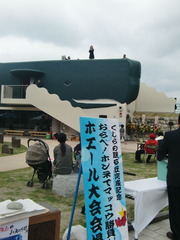 CIMG5268