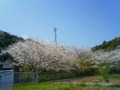 8fa23380.jpg