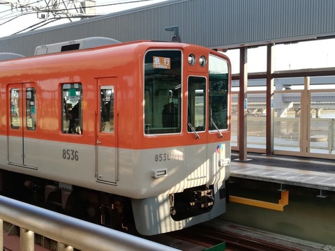 20200315¥À¥¤¥ä²þÀµÄ´ºº¤ÈÉð¸ËÀîÀþ_200318_0015