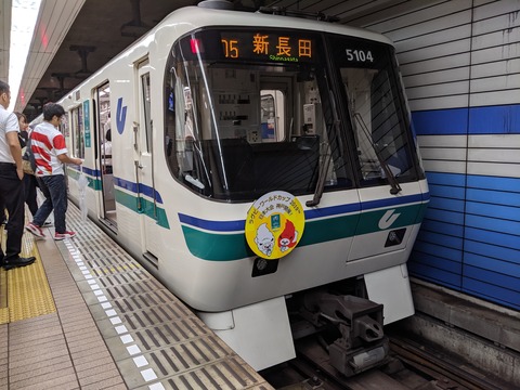 IMG_20191003_151521[1]