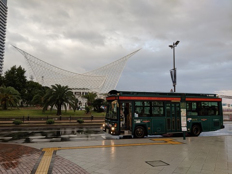 IMG_20191003_171231