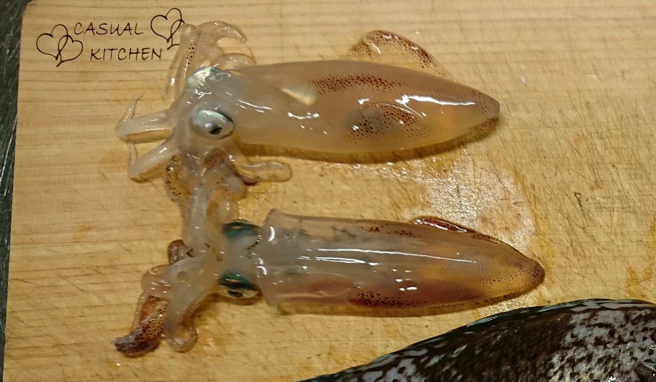 18年11月15日 小樽 厩町岸壁でのロックフィッシュ マメイカ釣行 釣り人 翔 の 外道戦記