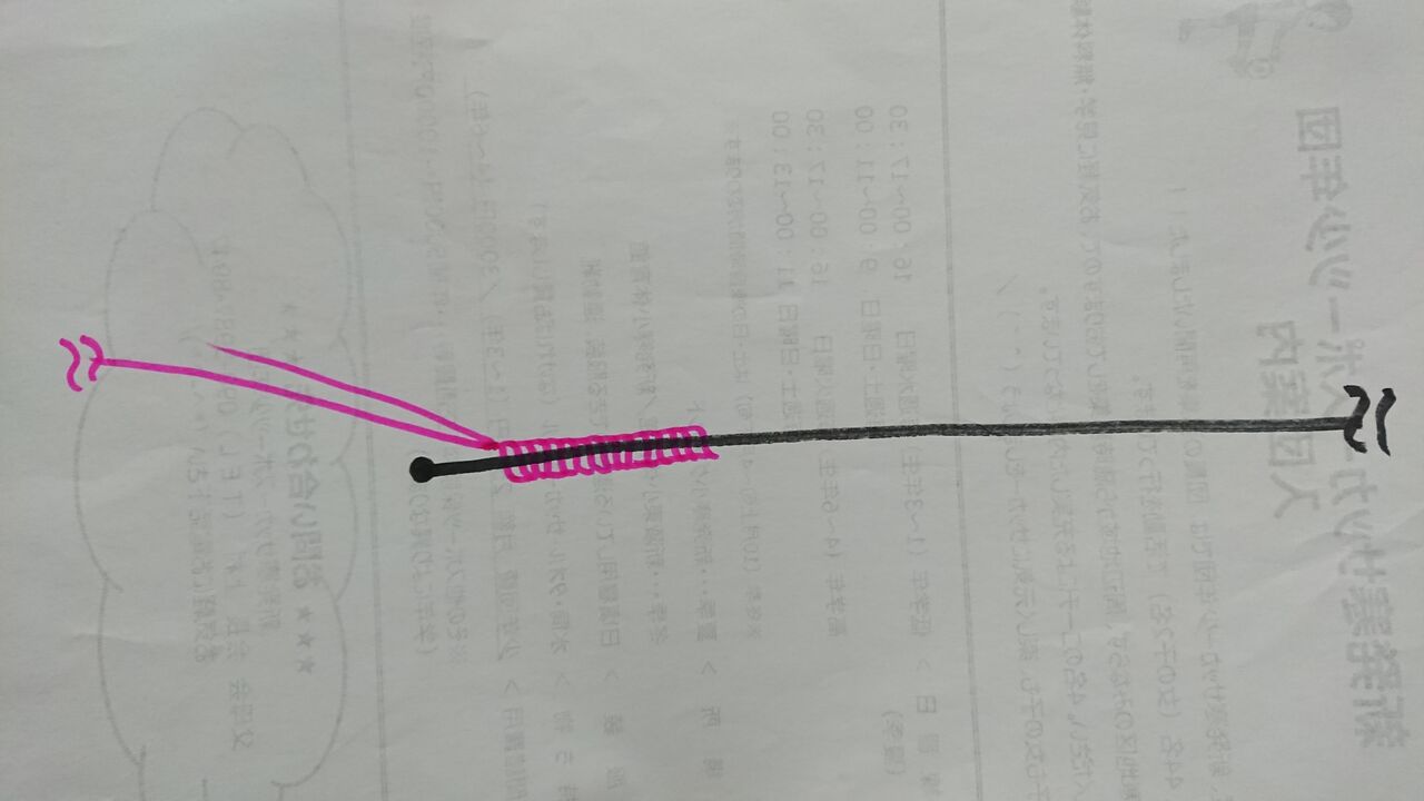 特別編 小樽 南防波堤ロックでのラインシステム 釣り人 翔 の 外道戦記