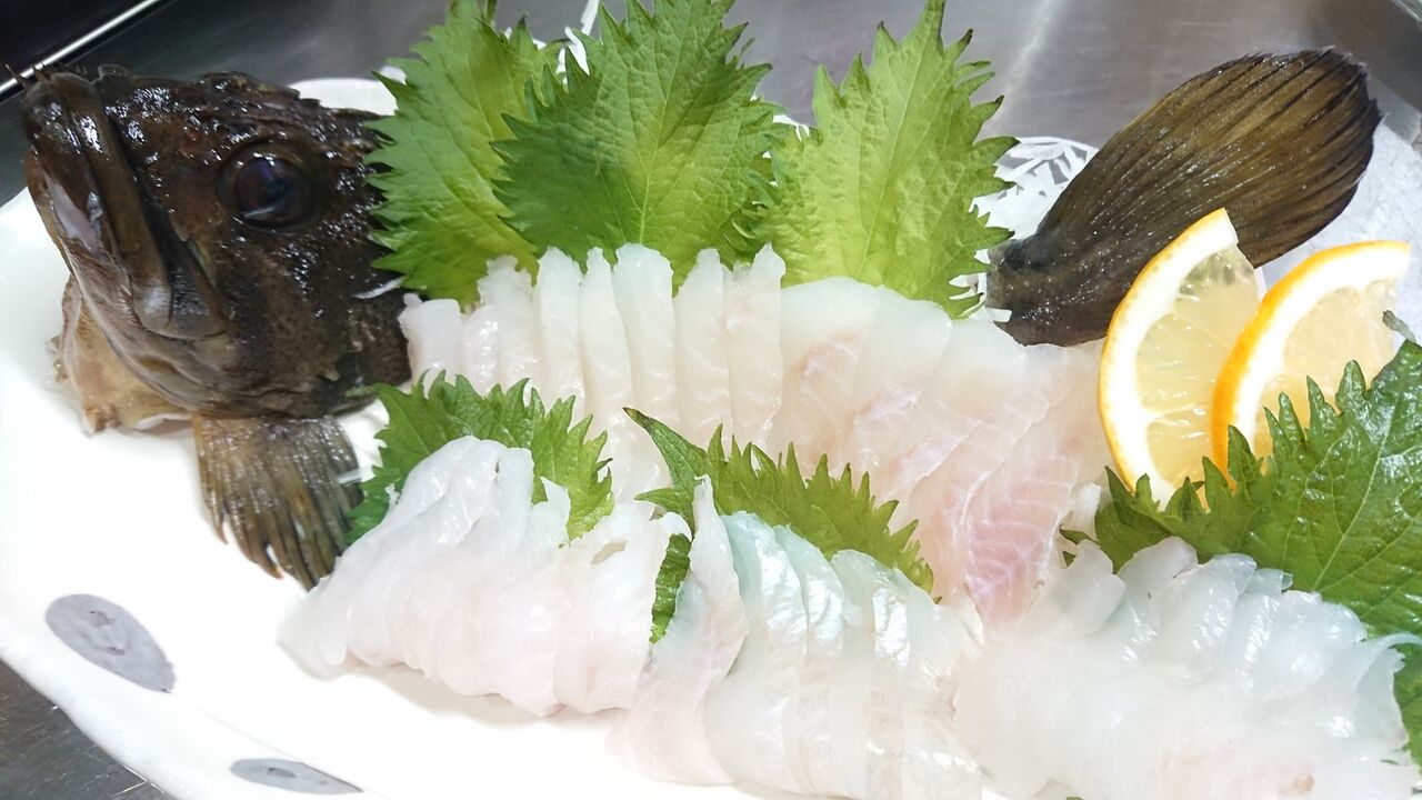 年1月13日 小樽 南防波堤でのロックフィッシュ釣行 釣り人 翔 の 外道戦記 年1月13日 小樽 南防波堤でのロックフィッシュ釣行 釣り人 翔 の 外道戦記