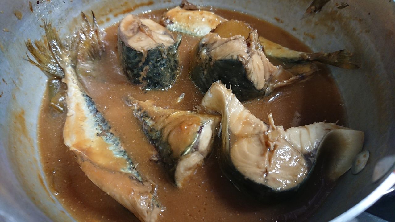 特別編 釣った魚をより美味しくいただくために 血抜きと処理 釣り人 翔 の 外道戦記