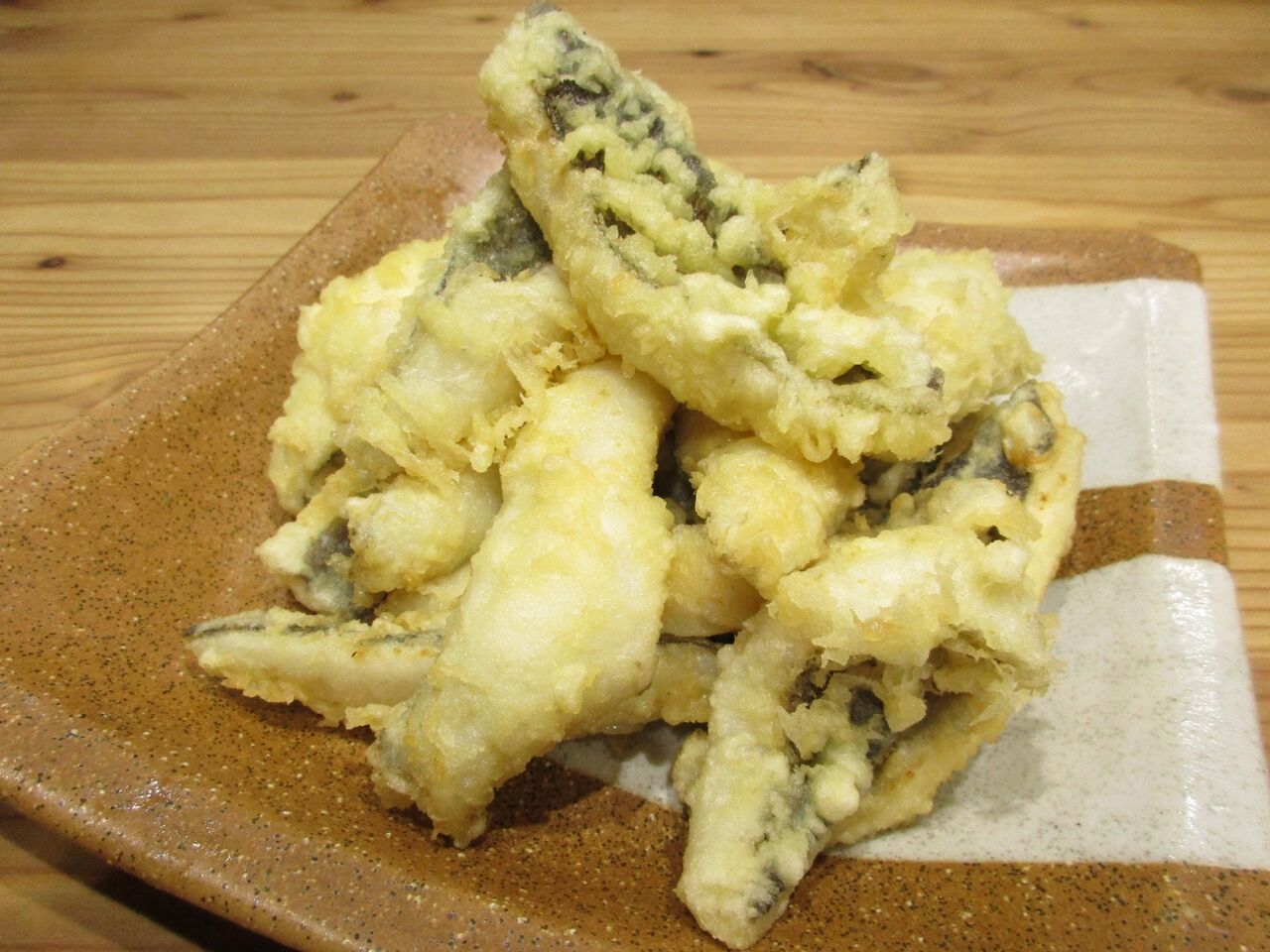 特別編 翔と釣りとガヤ 釣り人 翔 の 外道戦記 特別編 翔と釣りとガヤ 釣り人 翔 の 外道戦記