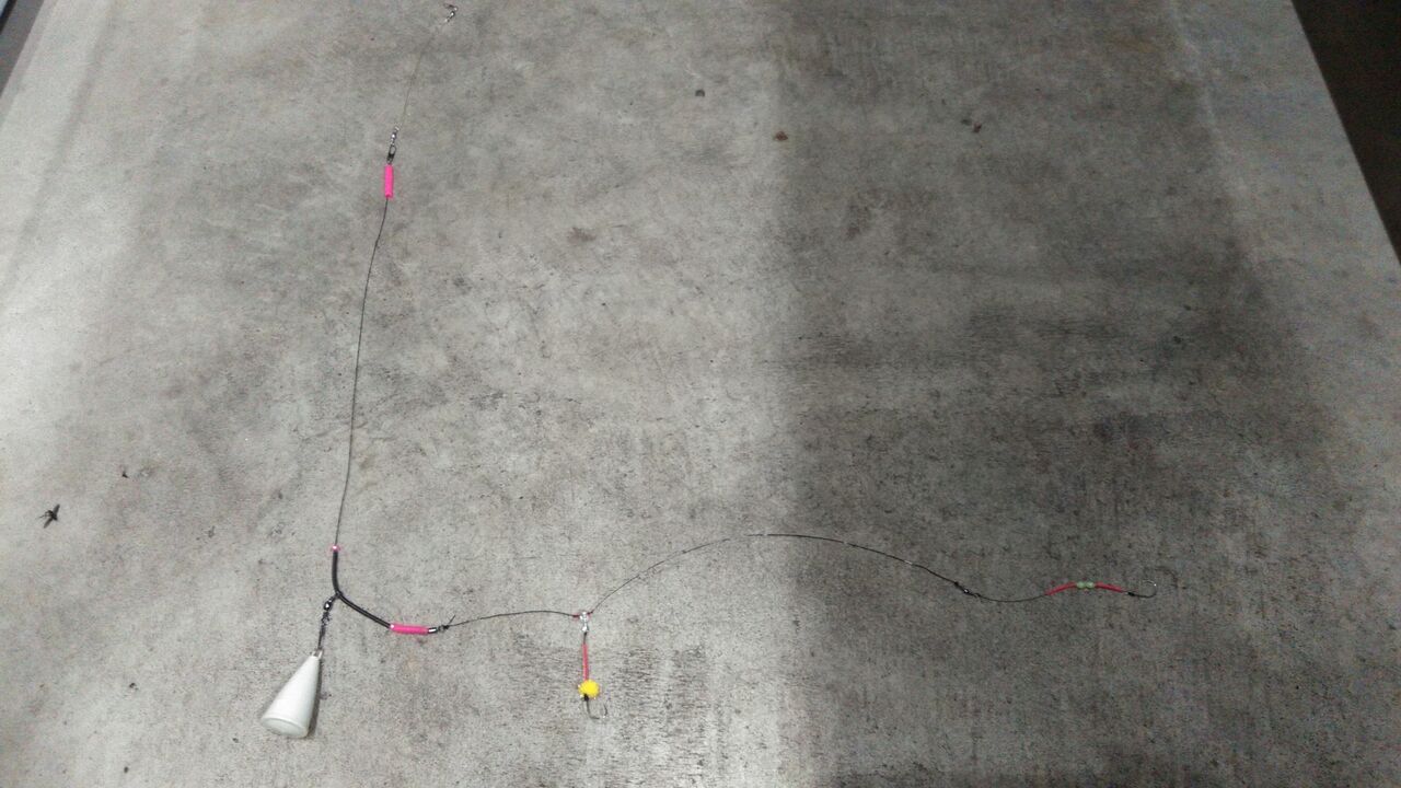 年6月1日 石狩 石狩湾新港沖でのカレイ釣行 釣り人 翔 の 外道戦記