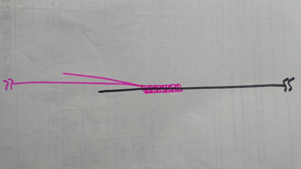 特別編 小樽 南防波堤ロックでのラインシステム 釣り人 翔 の 外道戦記